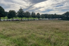 IMG_8343