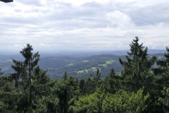 vereinsausflug-2025_0111_2025-08-03_16-07-29