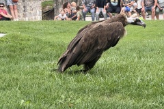 IMG_8330