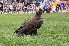 IMG_8332