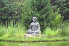 IMG_1755