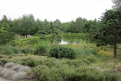 IMG_1809
