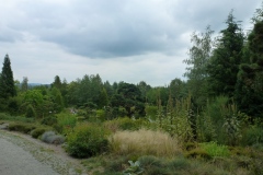 P1010400